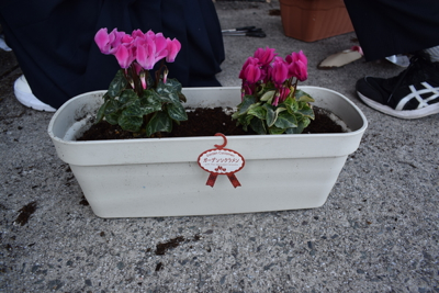 【サークル活動】花壇の植え替えを行いました。