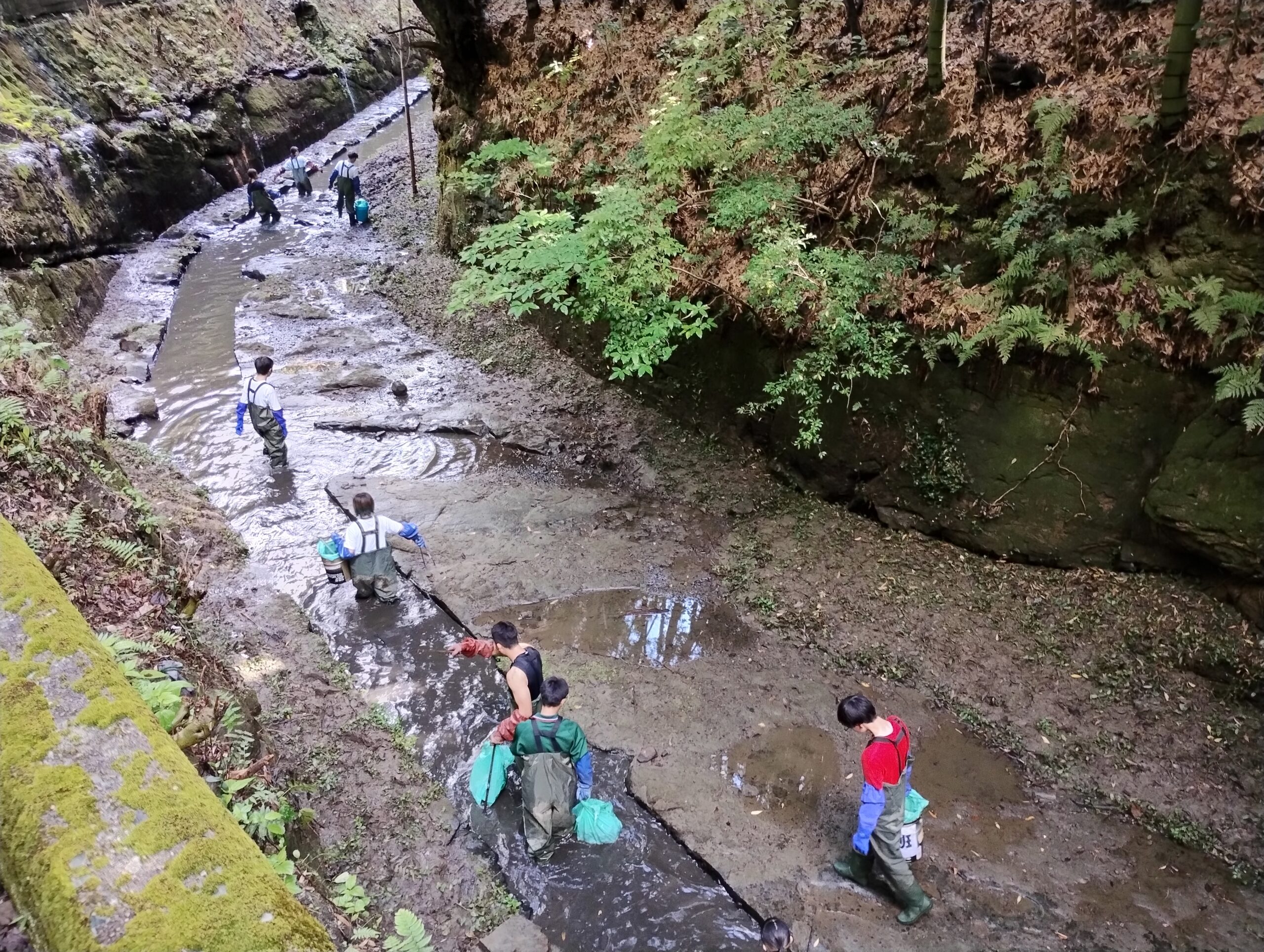 折尾堀川一斉清掃ボランティア